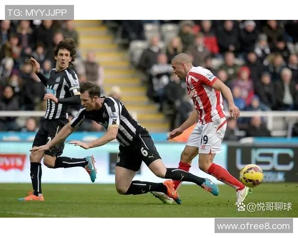 瓦尔韦克与阿尔克马激战在即谁能在这场对决中笑到最后