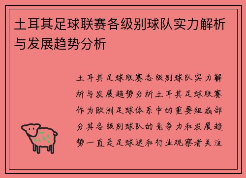 土耳其足球联赛各级别球队实力解析与发展趋势分析